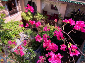 Riad Toyour- Riad of birds